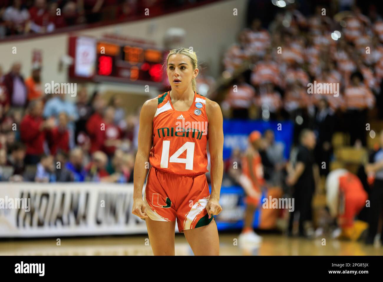 Haley cavinder hi-res stock photography and images - Alamy