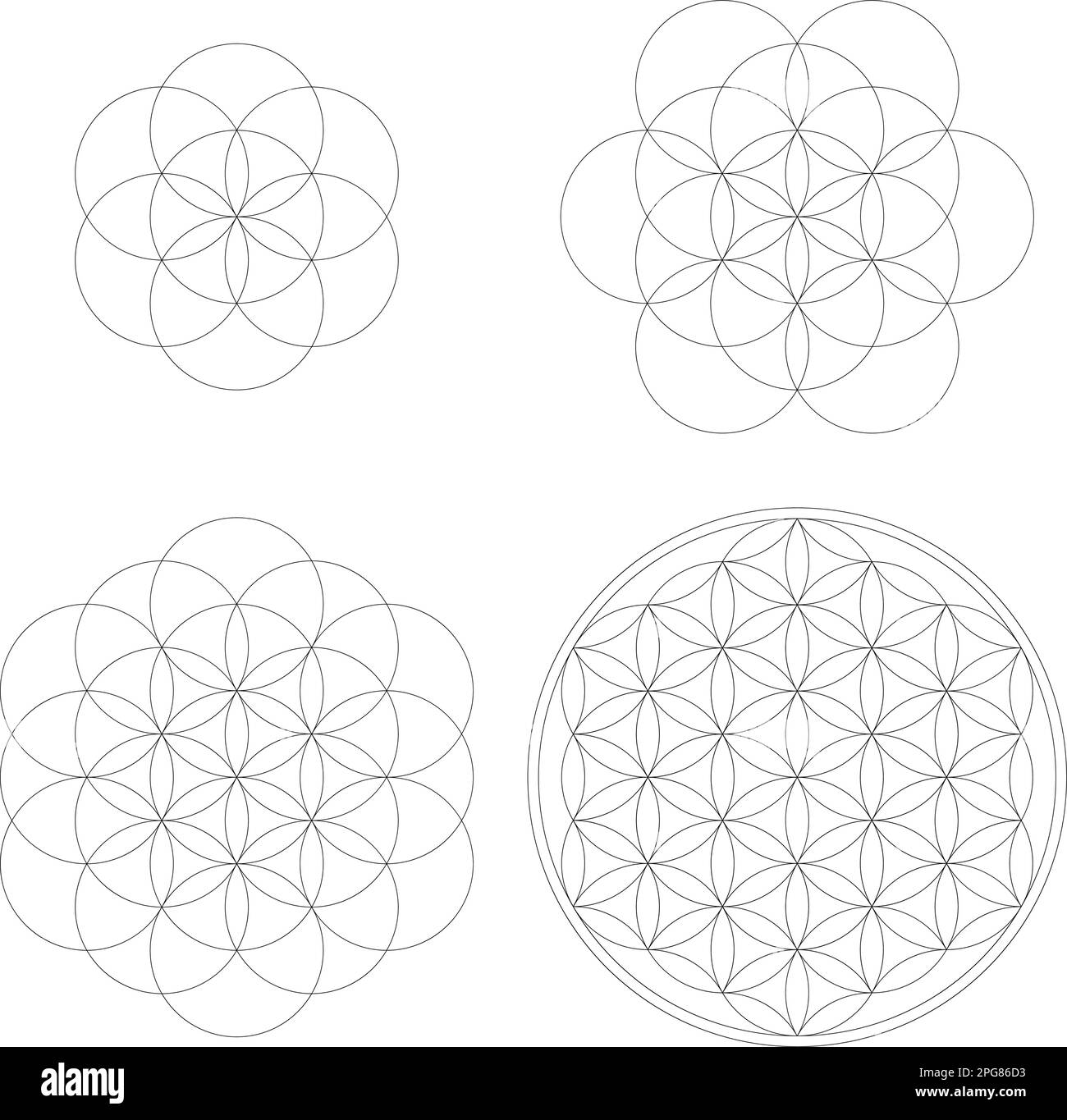 Set of geometrical elements and shapes. Sacred Geometry Flower of Life ...