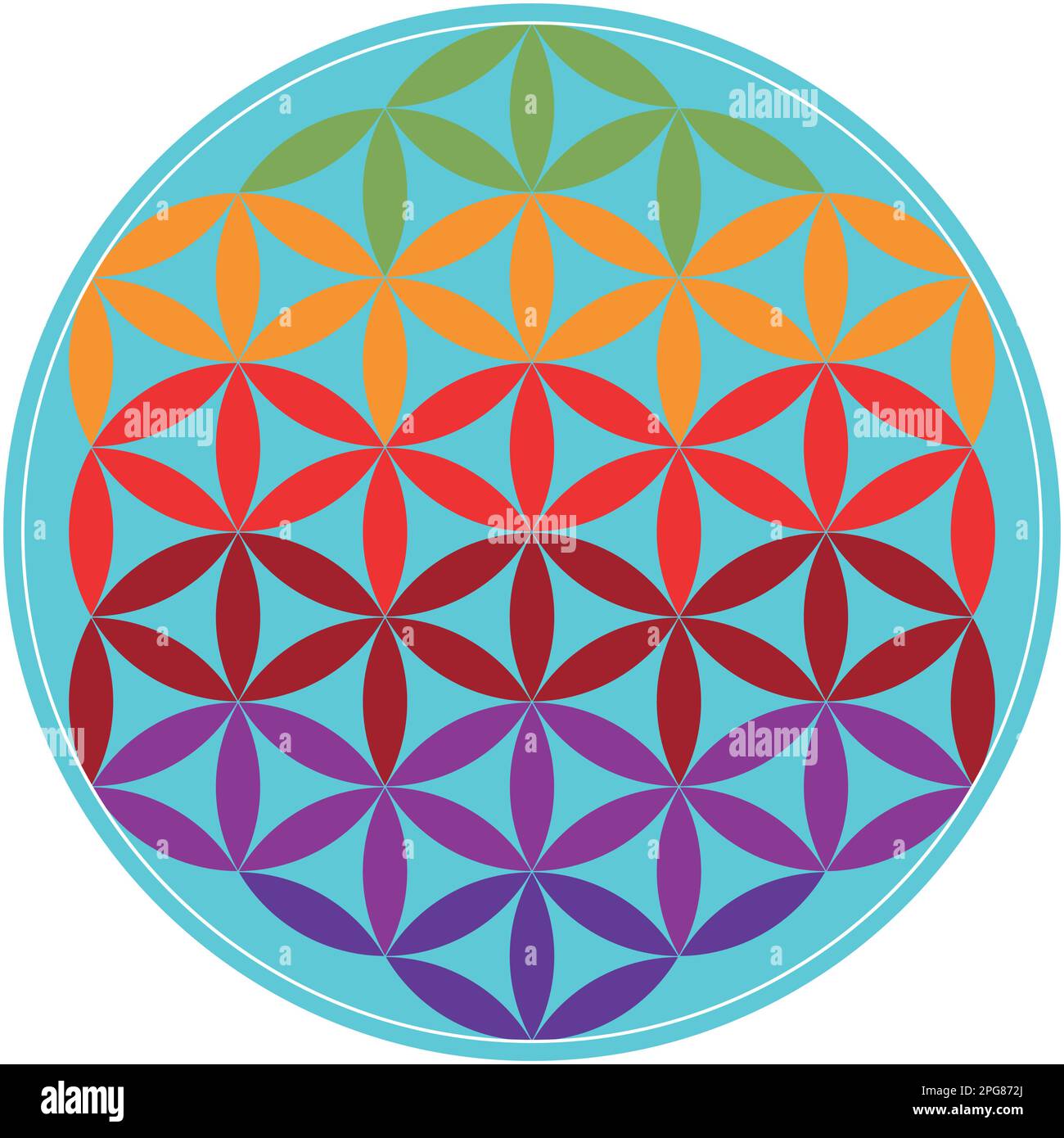 Colorful geometrical figure. Sacred Geometry Flower of Life vector illustration Stock Vector