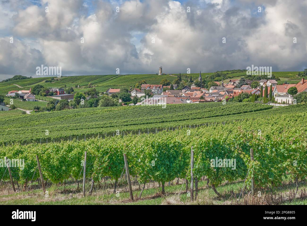 Wine Village of Vendersheim in Vineyard Landscape,Rhinehessen wine region,Germany Stock Photo