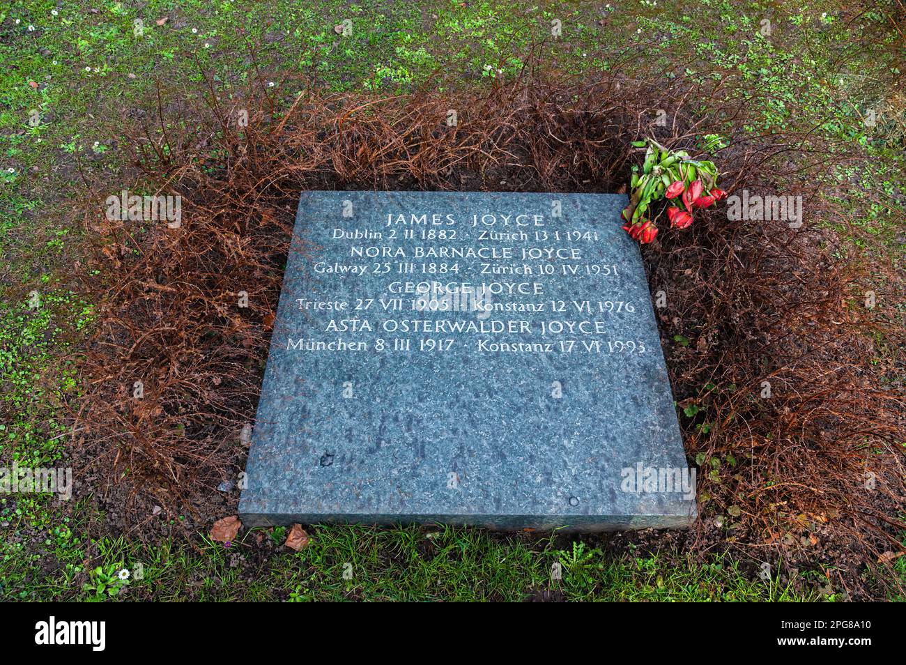 Zurich, Switzerland - February 22, 2023: Tombstone of famous Irish novelist, writer and poet James Joyce at the grave in Zurich Stock Photo