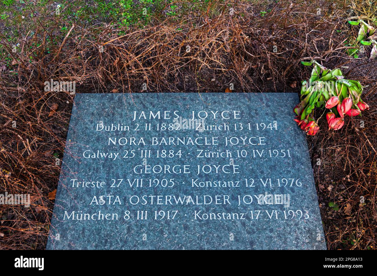 Zurich, Switzerland - February 22, 2023: Tombstone of famous Irish novelist, writer and poet James Joyce at the grave in Zurich Stock Photo