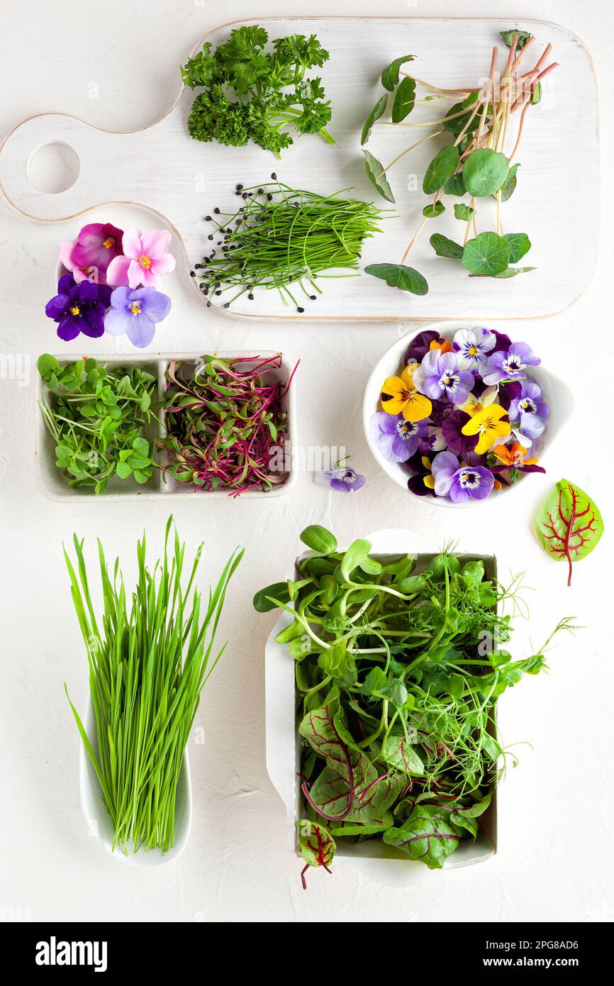 Different types of organic microgreens sprouts and edible flowers