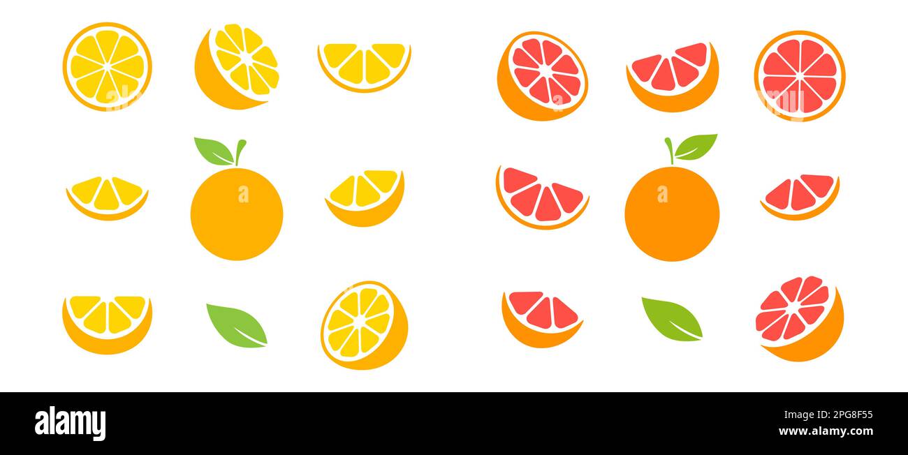 Orange and grapefruit fruits slices set. Tangerine collection. Vector