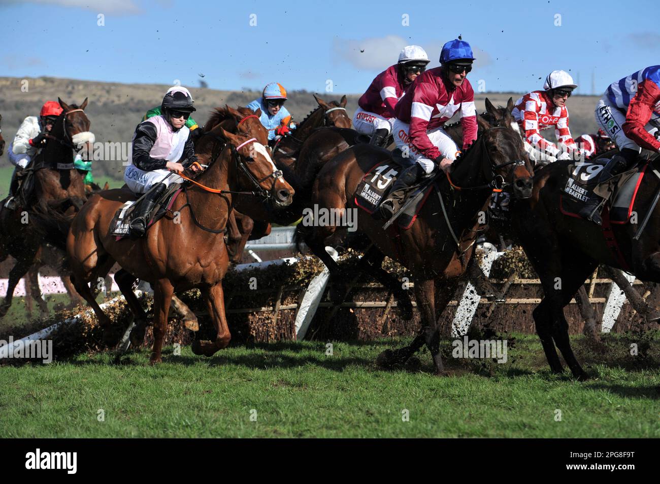 Third race 2.50 The Albert Bartlett Novice Hurdle Search For Glory