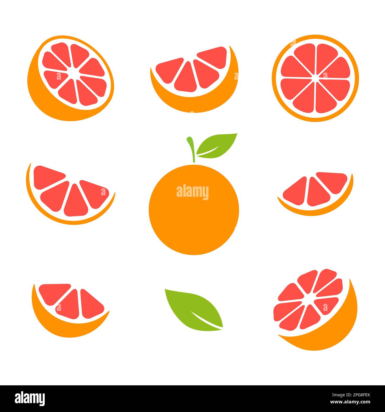 Grapefruit fruits slices set. Vector illustration isolated on white. Stock Vector