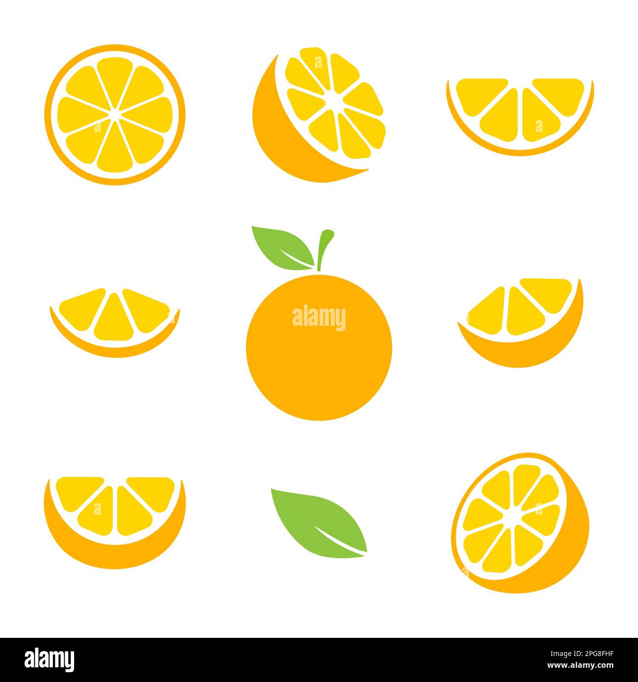 Orange Fruits Slices Set Tangerine Collection Vector Illustration