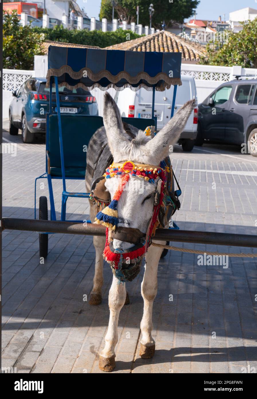 Donkey taxi in historic Spanish white village of Mijas Pueblo, Spain Stock Photo