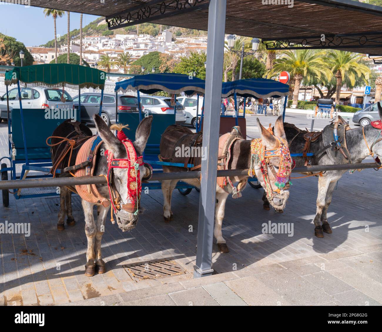 Mijas Spain donkey taxis in historic Spanish white Analusian village Stock Photo