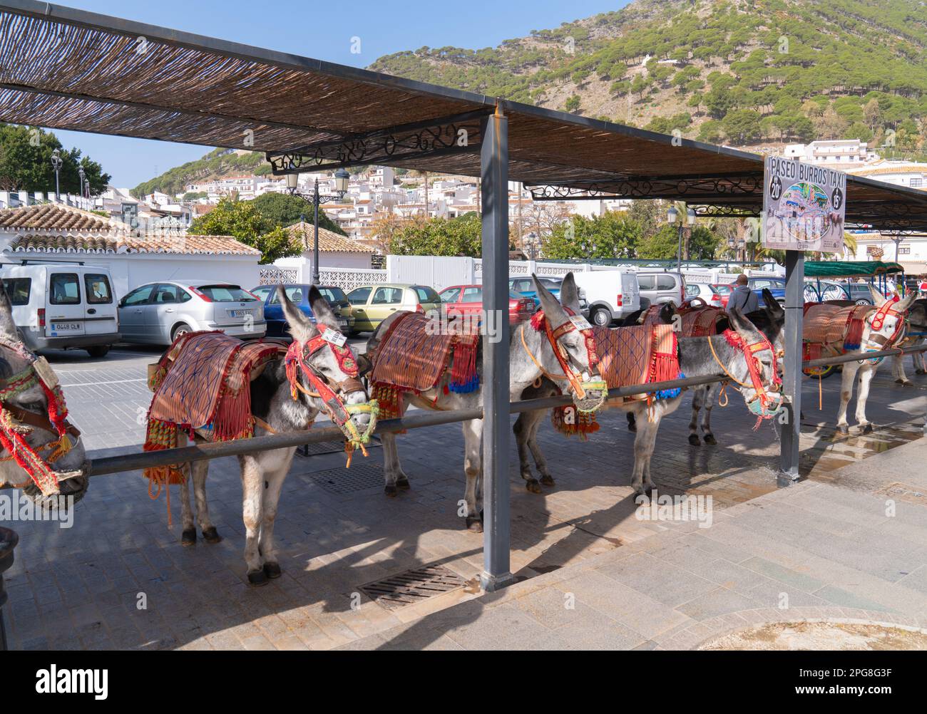 Mijas donkey taxis in historic Spanish white village pueblo, Spain Stock Photo