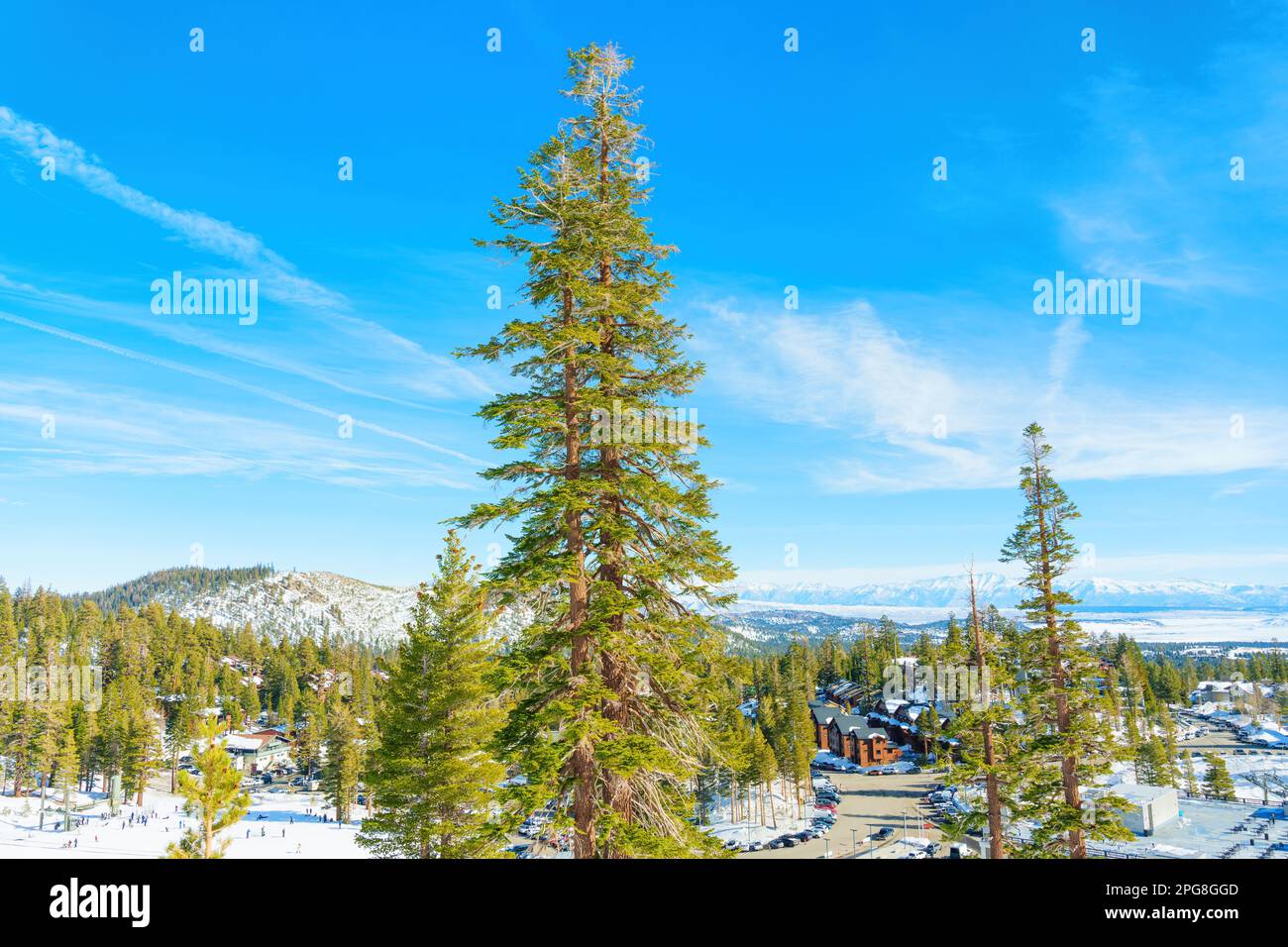 Winter landscape of Mammoth Mountain ski resort, showcasing the impressive infrastructure. Snow-covered terrain is dotted with ski lifts, runs, and ch Stock Photo