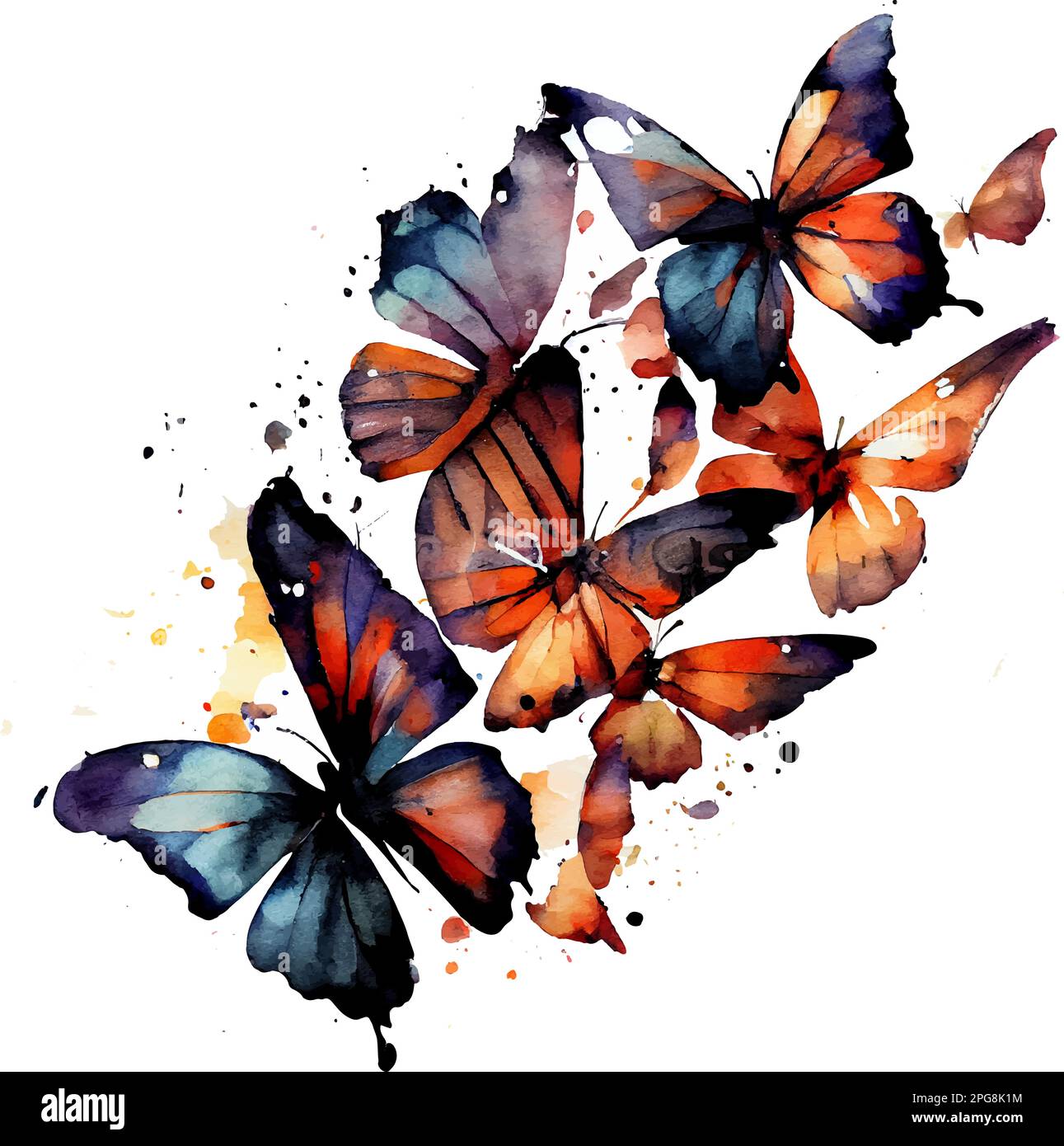 vector set illustration beautiful butterfly flying isolated on white