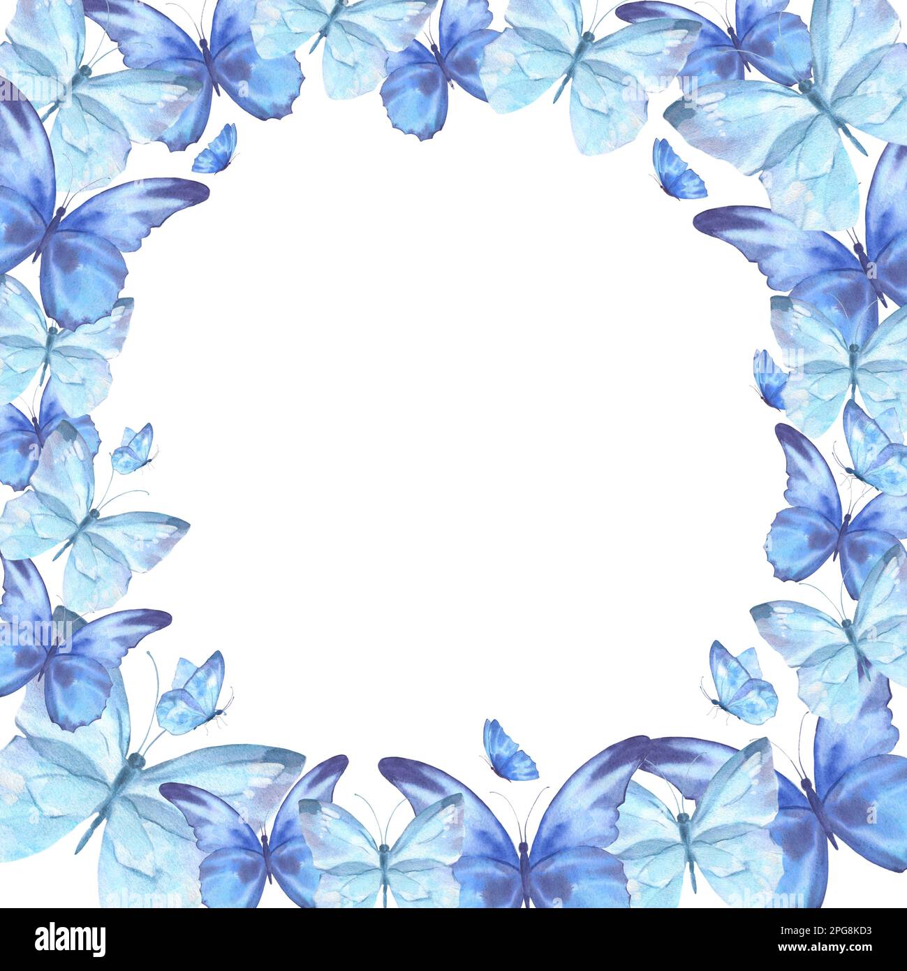 Blue Butterfly Border Designs