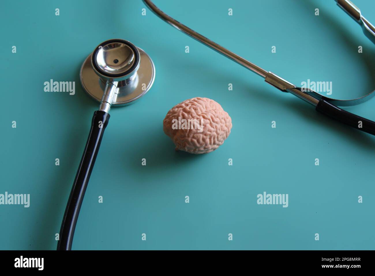 Human brain model hi-res stock photography and images - Alamy