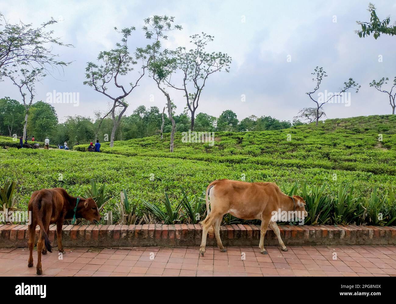 What is the Oldest Place in Sylhet?  