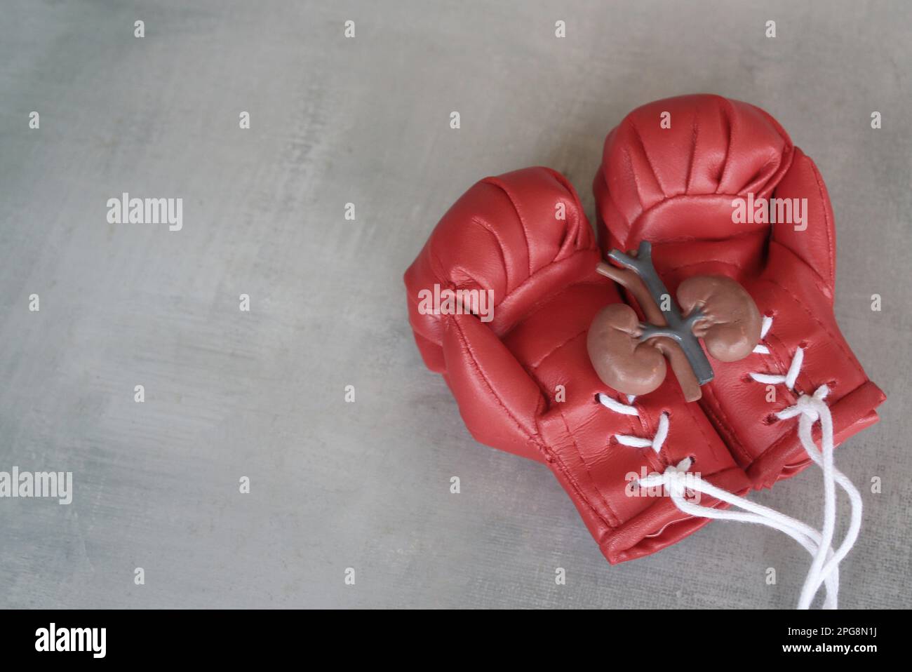 Kidney model on top of red boxing gloves with copy space. Fight kidney