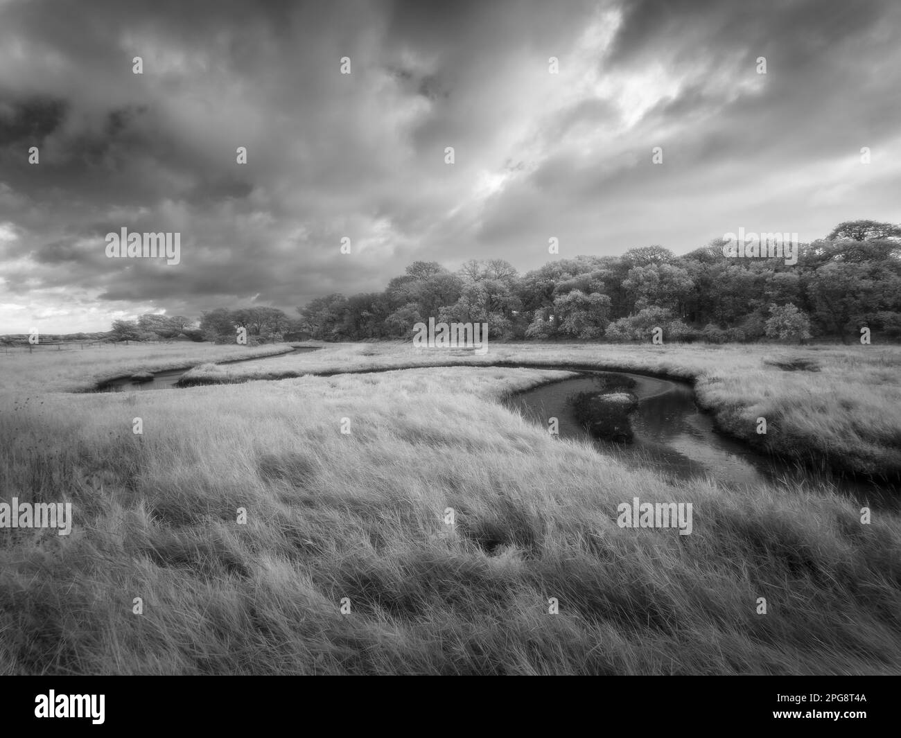 An infrared image of a creek at Chalkdock Point in the Chichester Harbour National Landscape, West Itchenor, West Sussex, England. Stock Photo