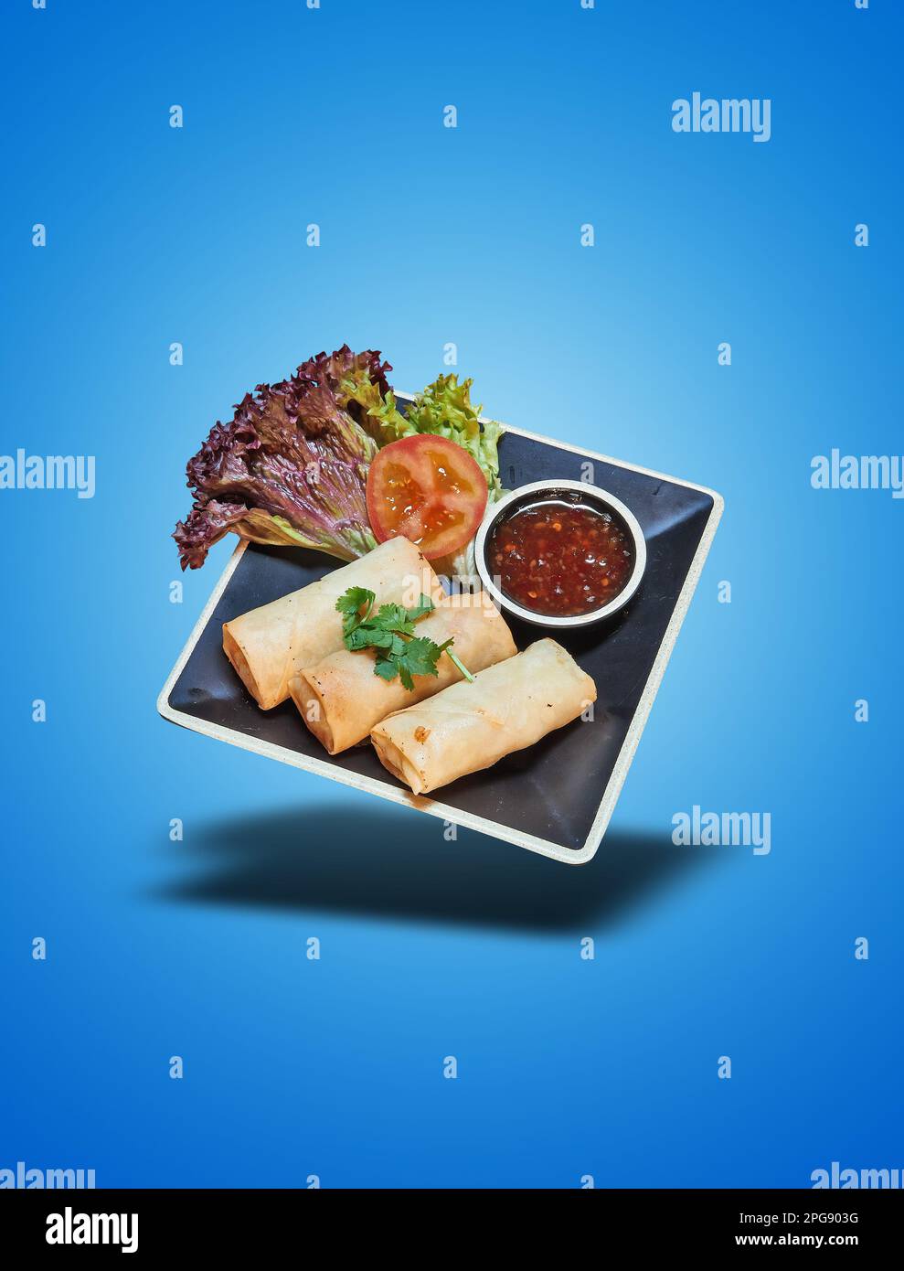 Floating Chicken Roll on Black Plate on blue gradient background Stock Photo