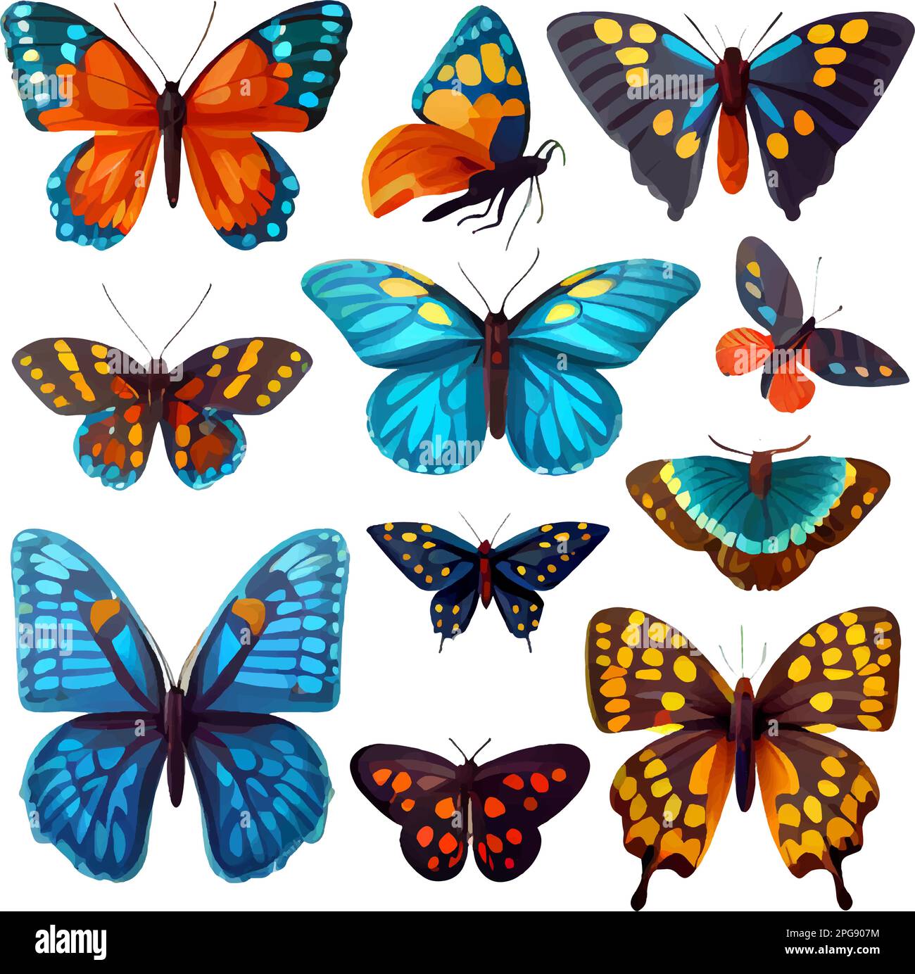 Isolate Vector set vector illustration of butterfly isolate on white background Stock ...