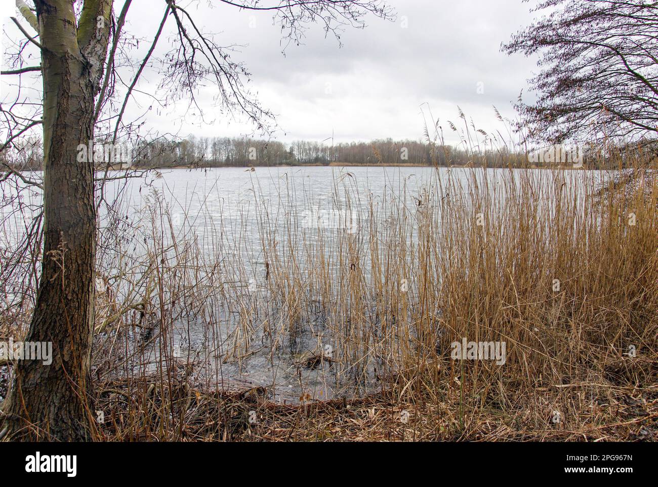 Am Angelteich bei Mantinghausen Stock Photo