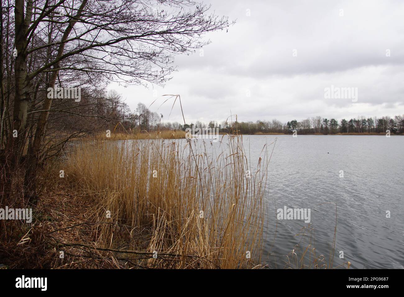 Am Angelteich bei Mantinghausen Stock Photo