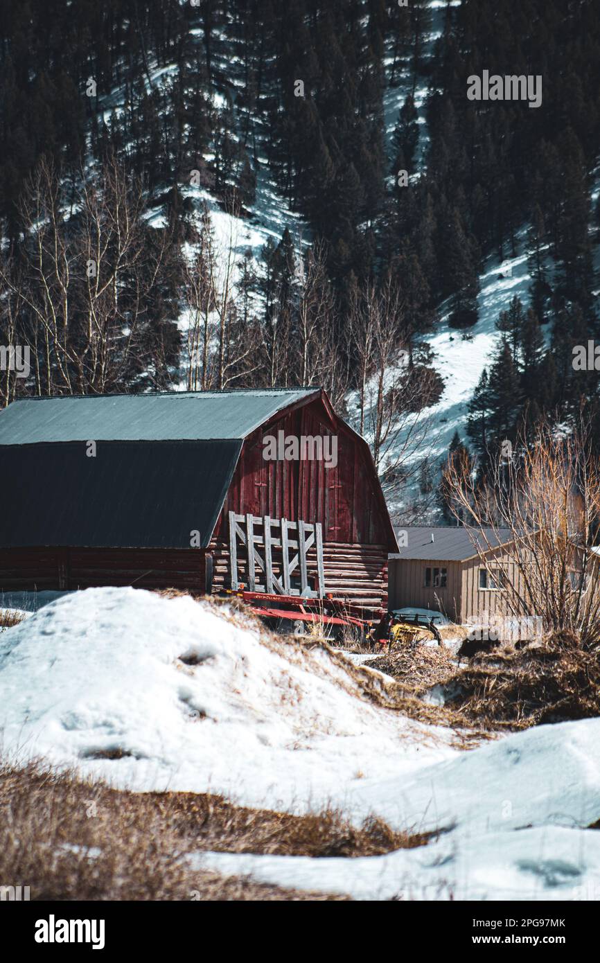 A traditional red barn surrounded by a snow-covered forest, creating a ...