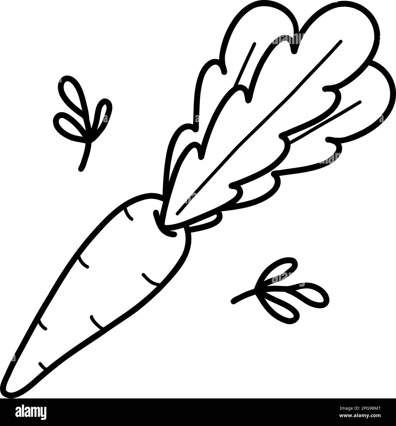 Cute carrots doodle Easter illustration for children. Kids outline vector drawing of carrot Stock Vector