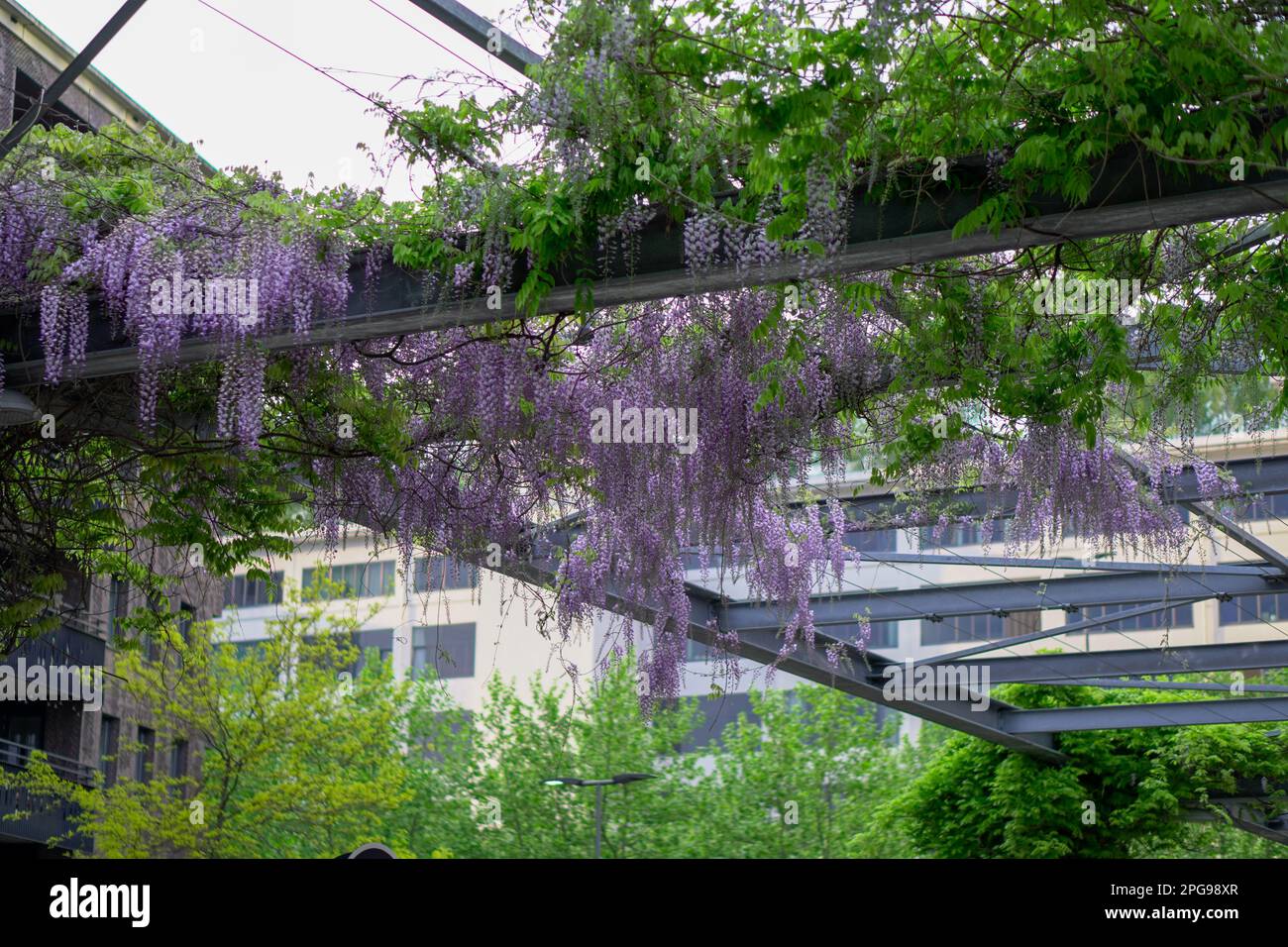 Hanging from beam hi-res stock photography and images - Alamy