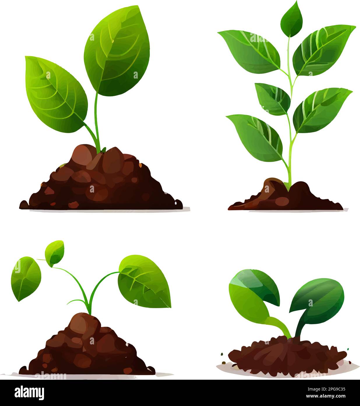 set vector illustration of plant growing on soil in hands isolate Stock ...