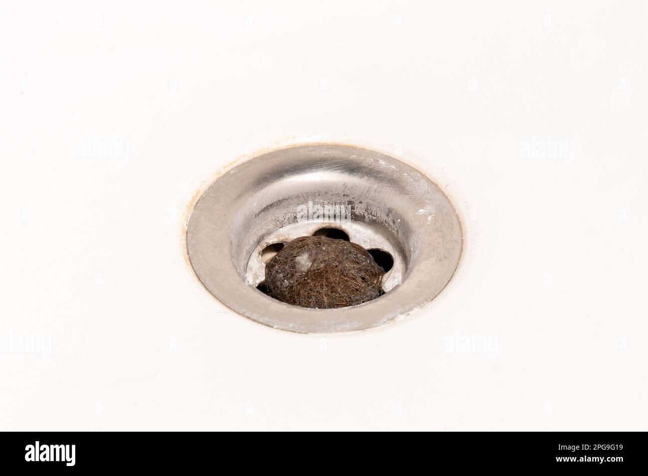 A bathroom drain clogged with dirty hair and slime Stock Photo Alamy