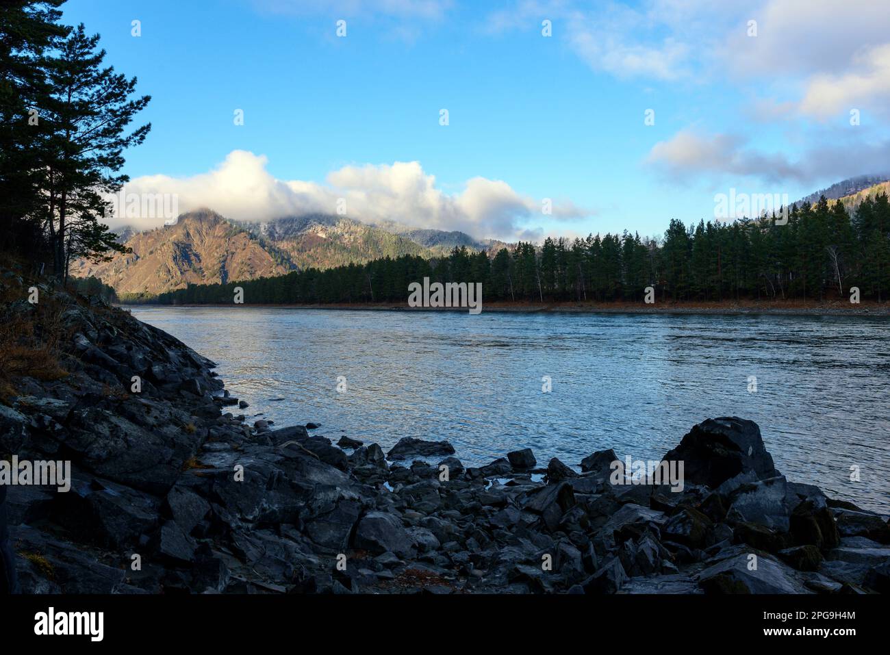 Morning landscape of the mountain river Katun in the shade in Altai. Stock Photo