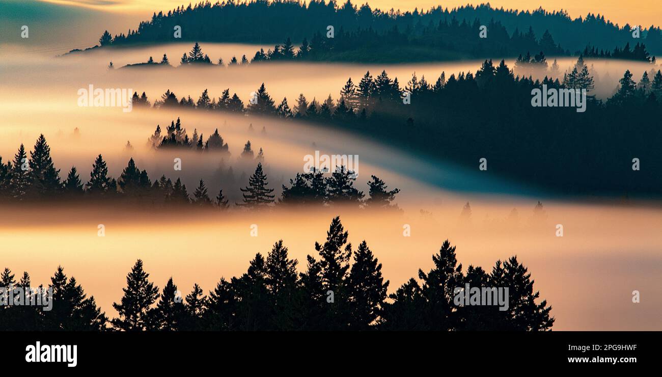 Fog over Mt. Tamalpais Stock Photo