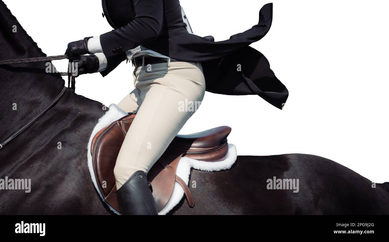 High key, white background of rider, no faces shown, and horses ...
