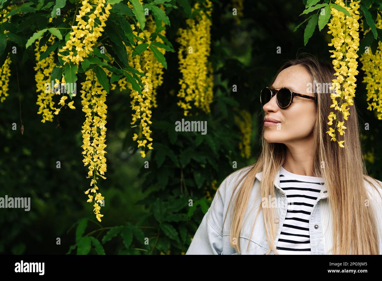 A woman admires the flowering clusters of Laburnum anagyroides walking in the spring in the park Stock Photo