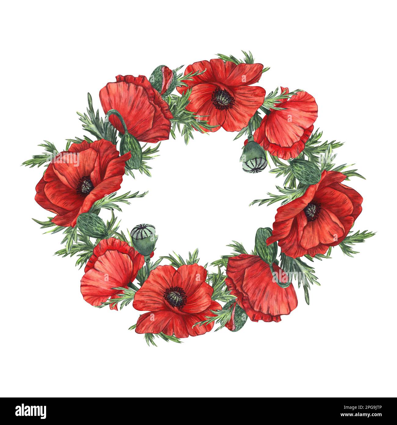 A wreath of red poppies painted in watercolor. Isolated image on a ...