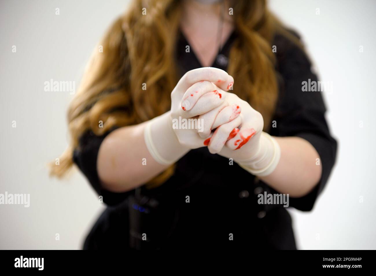 Hand showing stop sign in latex glove with blood. The bloody hand isolated on white background. Social violence and insecurity concept. Part of set. High quality photo Stock Photo