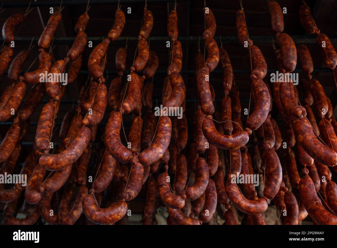 Delicious traditional spanish chorizos curing, homemade smoked pork