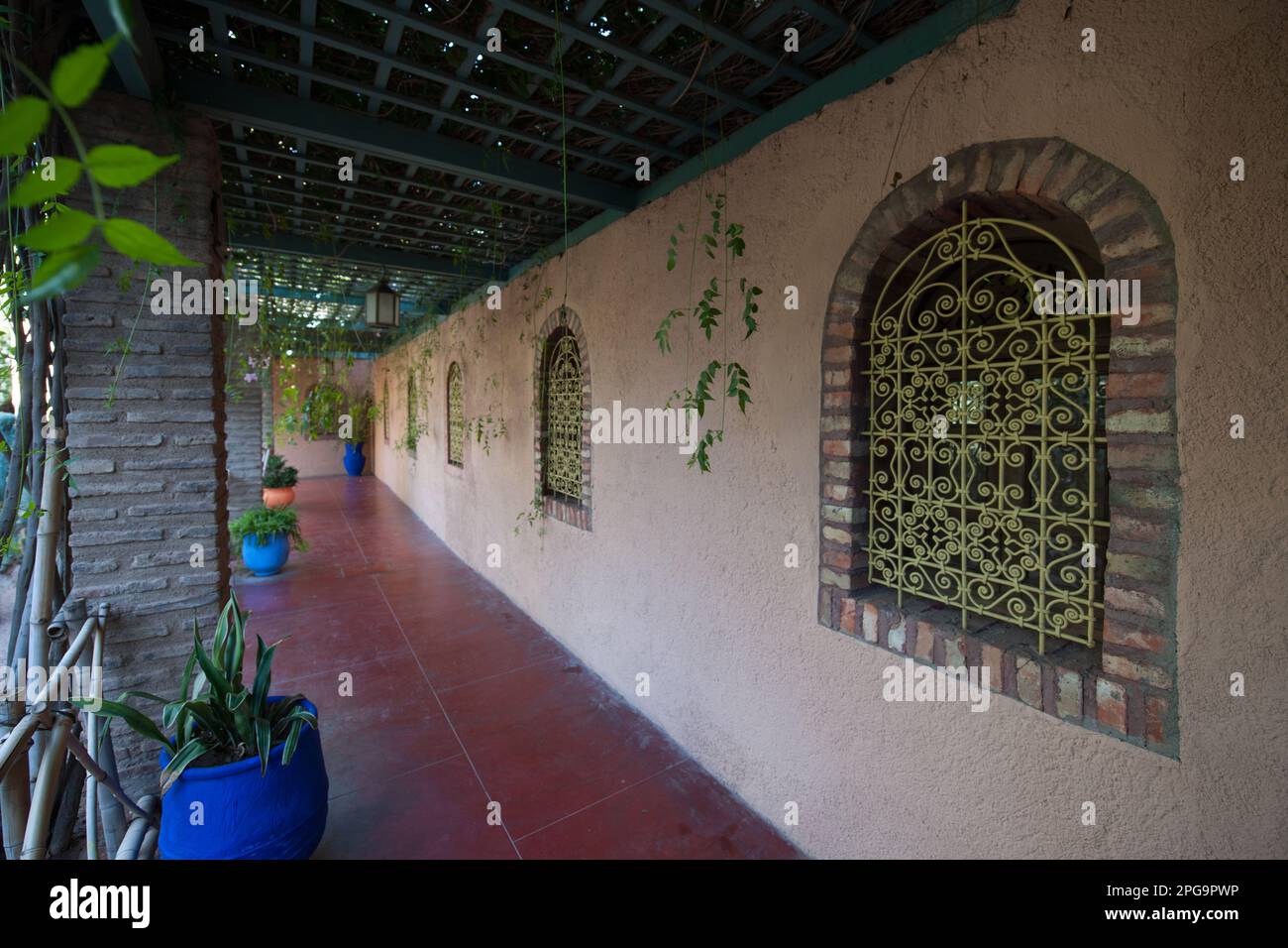 jardin majorelle, marrakech, magreb, nord africa, marocco, Stock Photo