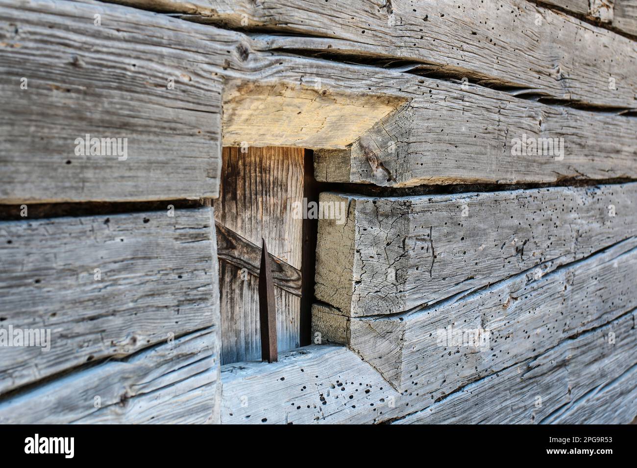 Smell of wood hi-res stock photography and images - Alamy