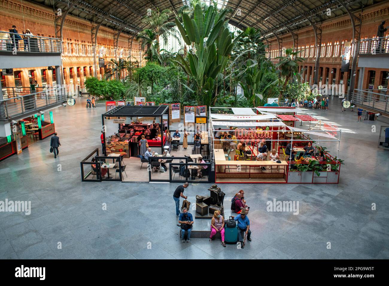 Greenhouse in Principal Hall. Bars and restaurants in Atocha train station in Madrid, Spain.  Madrid Atocha also named Madrid Puerta de Atocha–Almuden Stock Photo