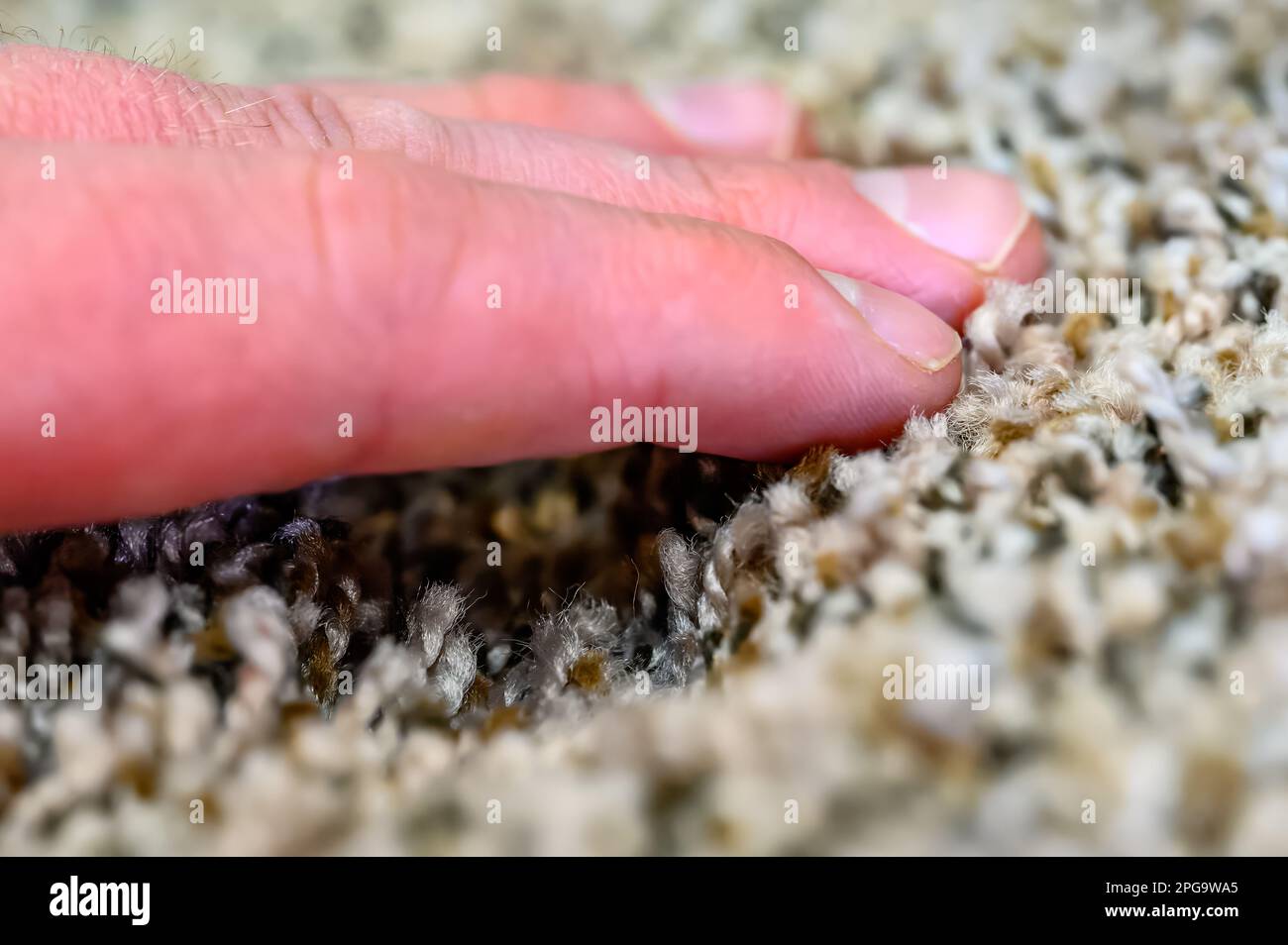 Compressed area of carpet with indentation where heavy furniture sat