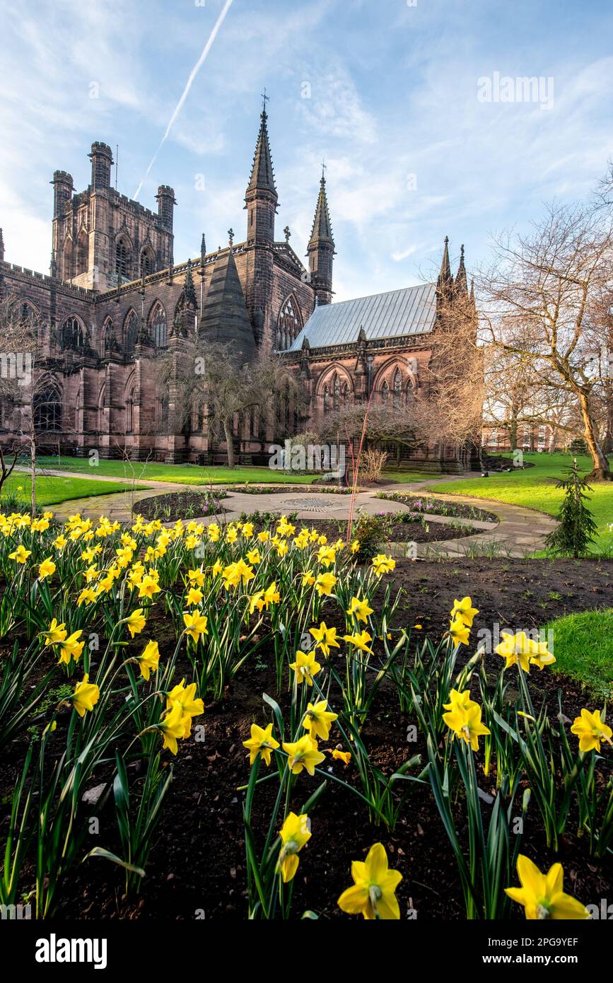 Flowers bloom in the garden of Chester Cathedral UK Stock Photo Alamy