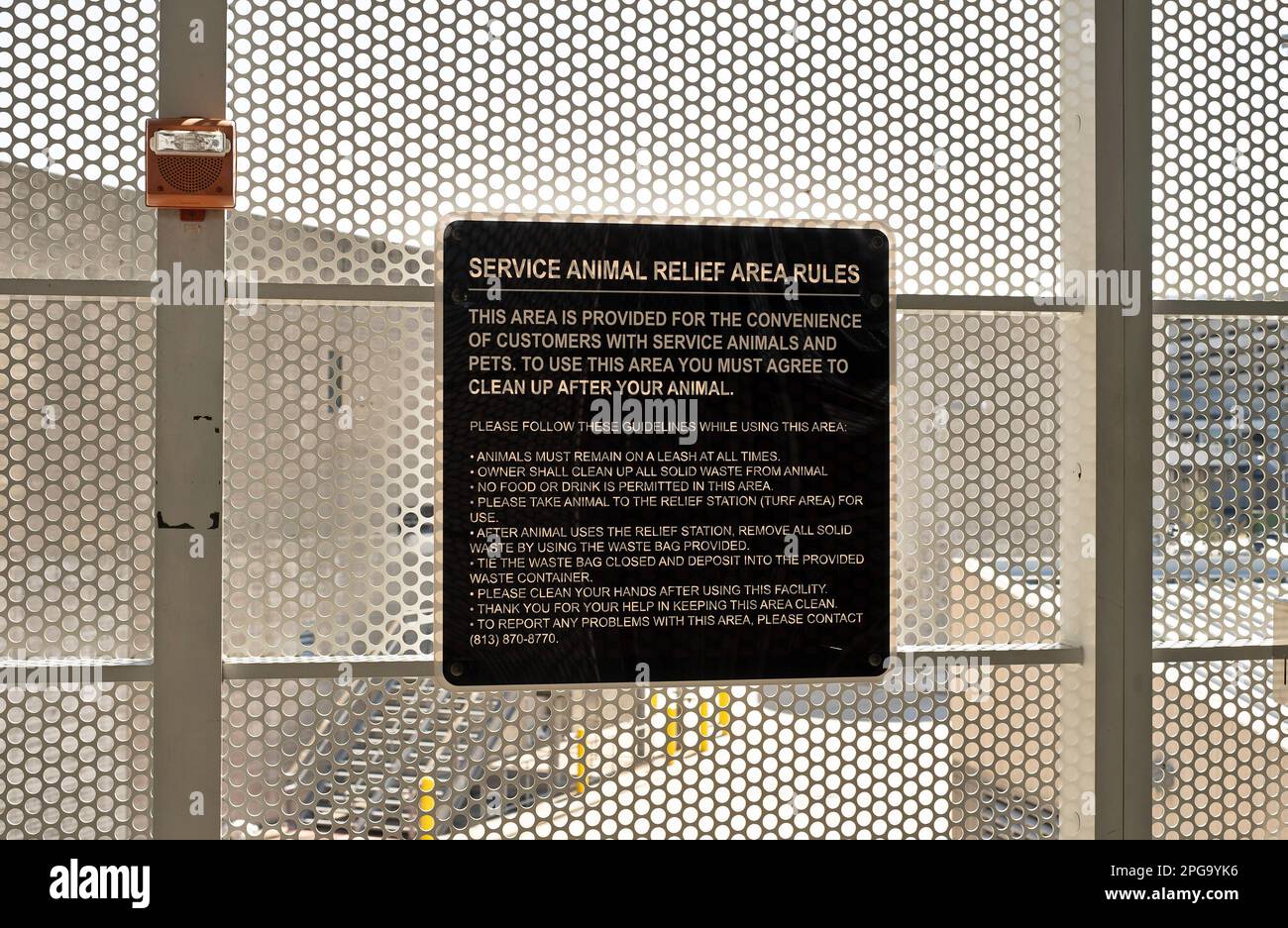 A pet waste station and relief area at an airport. Stock Photo