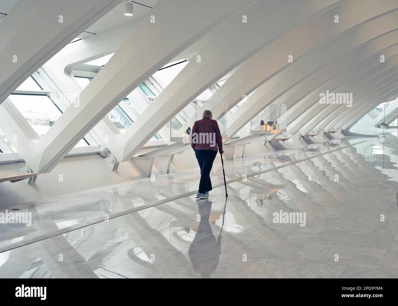 The Milwaukee Art Museum addition designed by Santiago Calatrava is in Milwaukee, Wisconsin, USA. Stock Photo