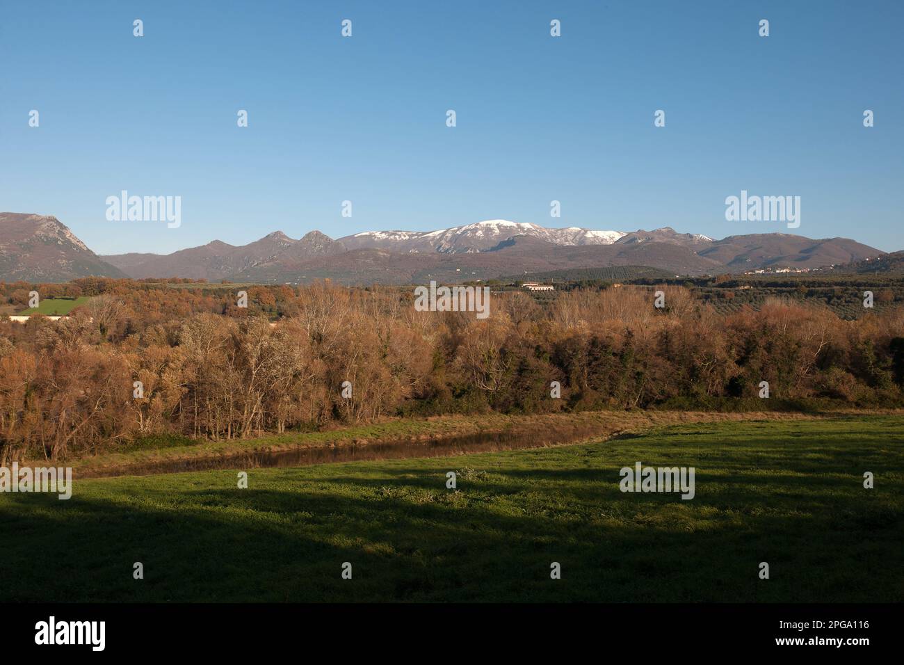 Bosco igrofilo hires stock photography and images Alamy