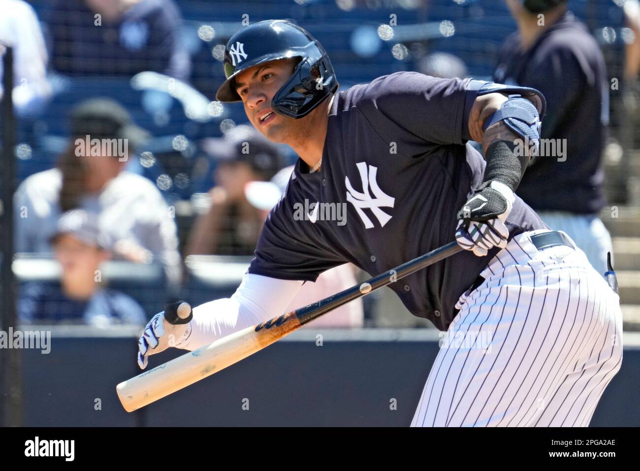 New York Yankees' Gleyber Torres in action during the MLB London Series  Match at The London Stadium Stock Photo - Alamy