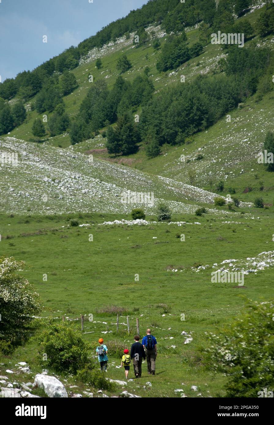 escursionisti nella valle delle orchidee, monte cervati, parco
