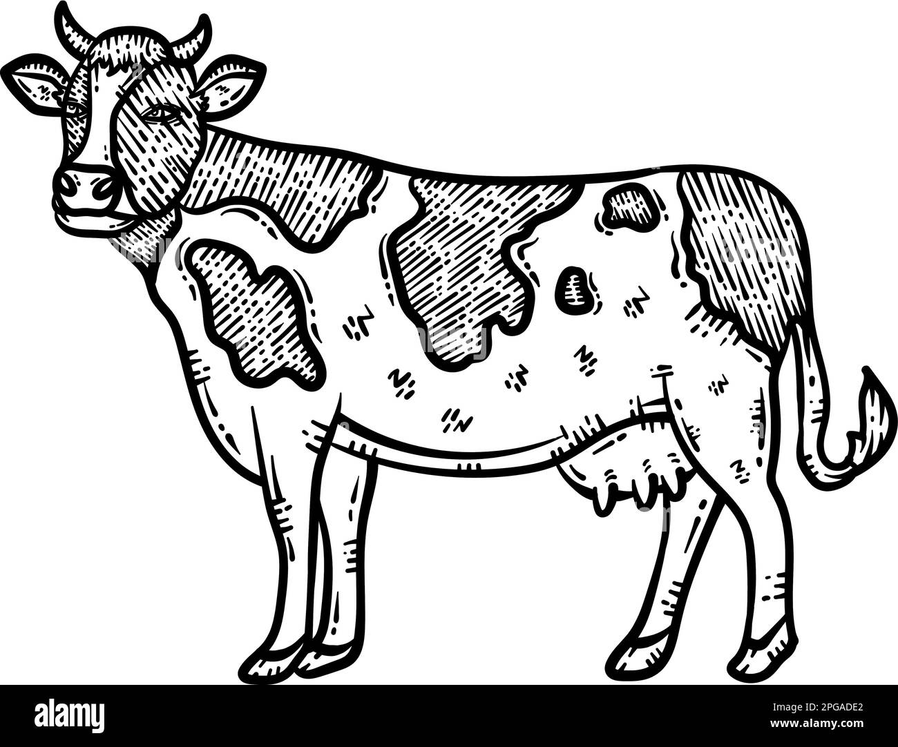 Cow Animal Coloring Page For Adult Stock Vector Image Art Alamy cow-animal-coloring-page-for-adult-stock-vector-image-art-alamy