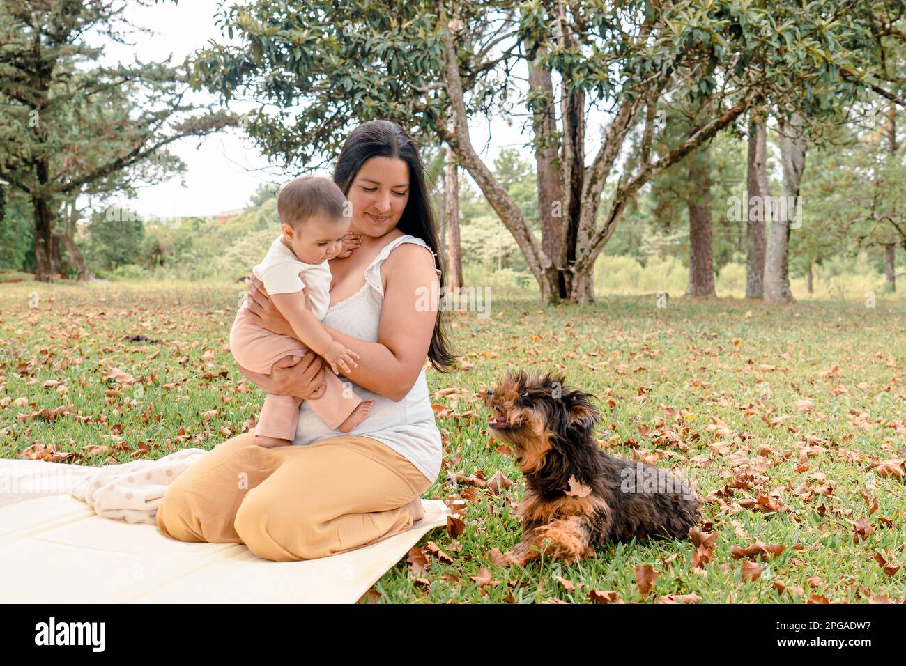 Mother playing with baby girl and dog in the park. Concept of family, pet, pet and people Stock Photo