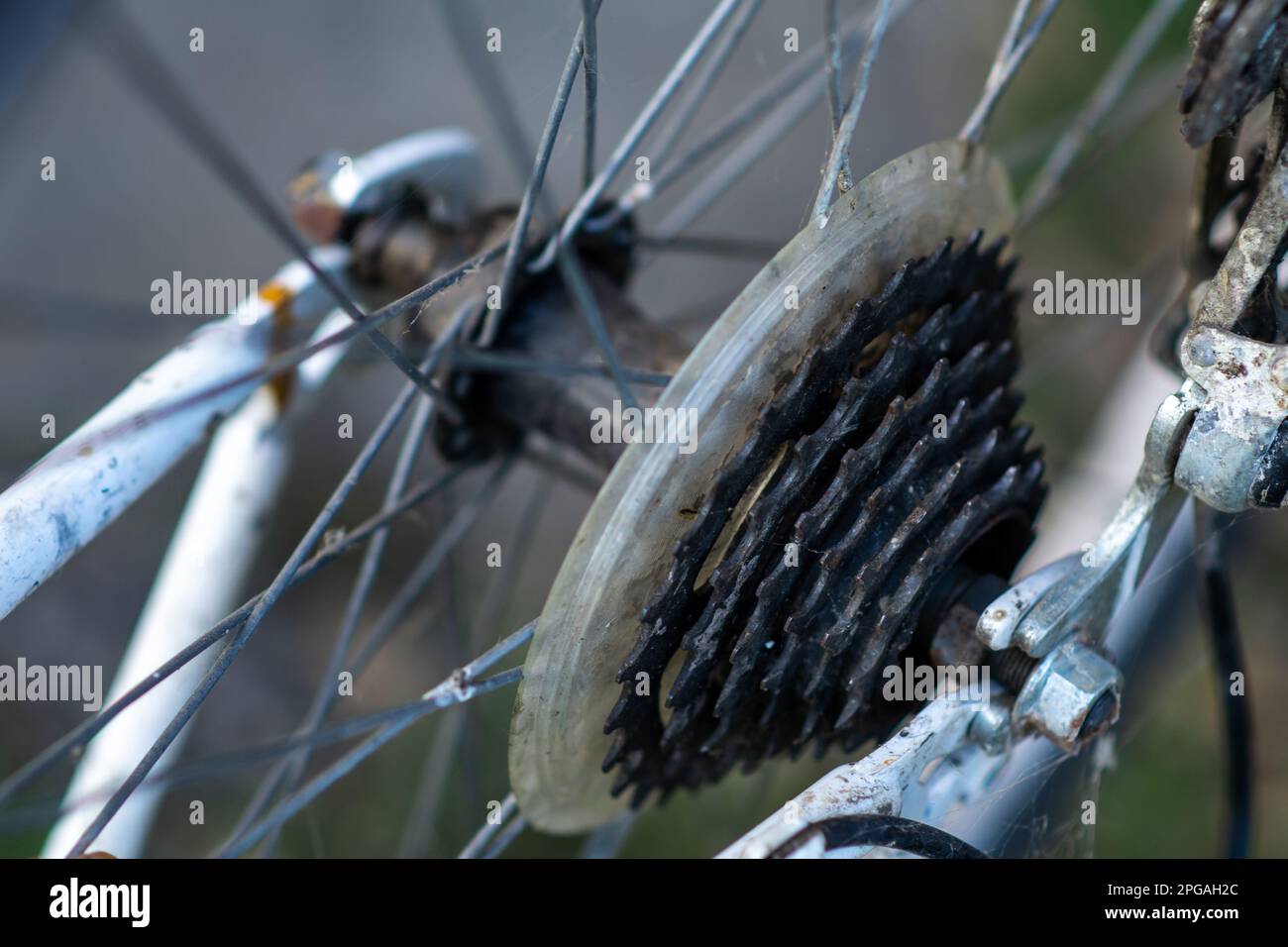 Bike back wheel gear replacement hotsell